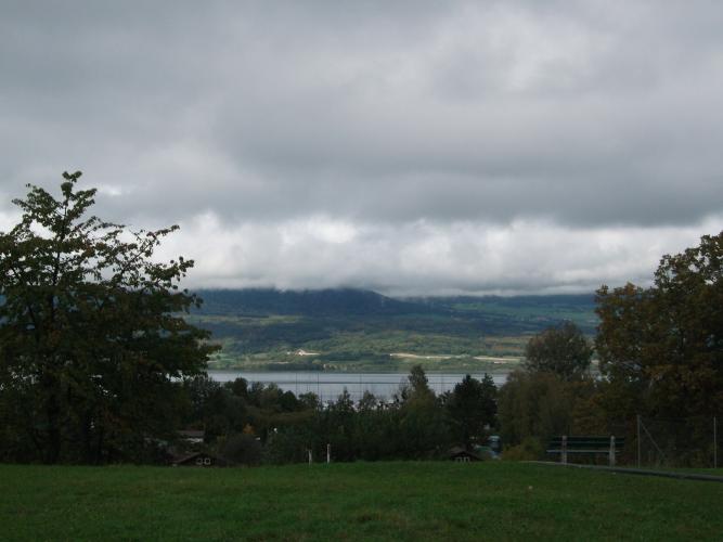 DSCF9904
